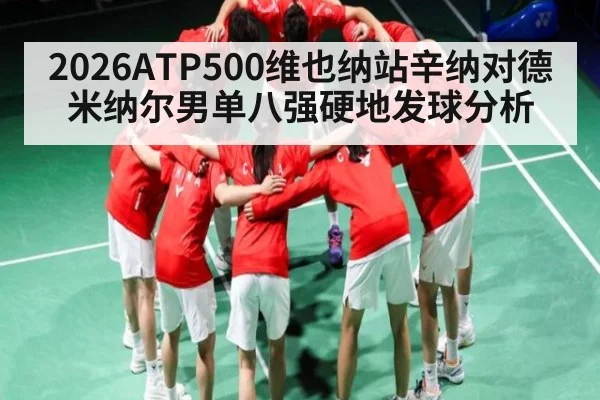 2026ATP500维也纳站辛纳对德米纳尔男单八强硬地发球分析